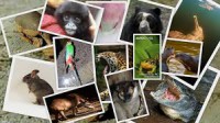 /album/fotogaleria/images-jpg/
