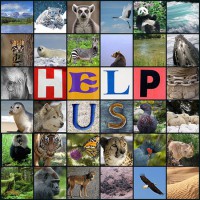 /album/fotogaleria/animales-jpg/